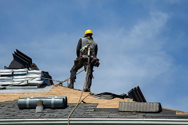 Professional Gutter Installation technician working in Ludowici, GA